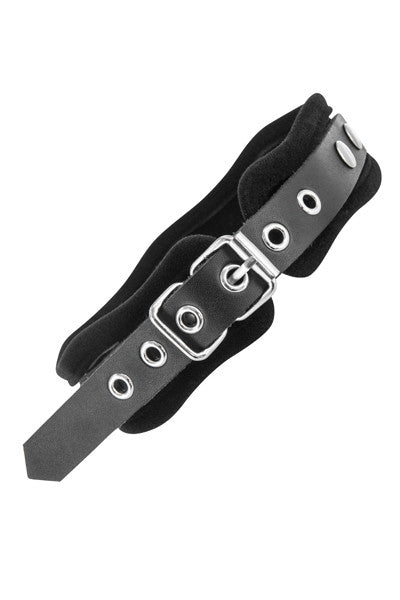 Collier et laisse cuir bovin – Fetish Premium – vue 2