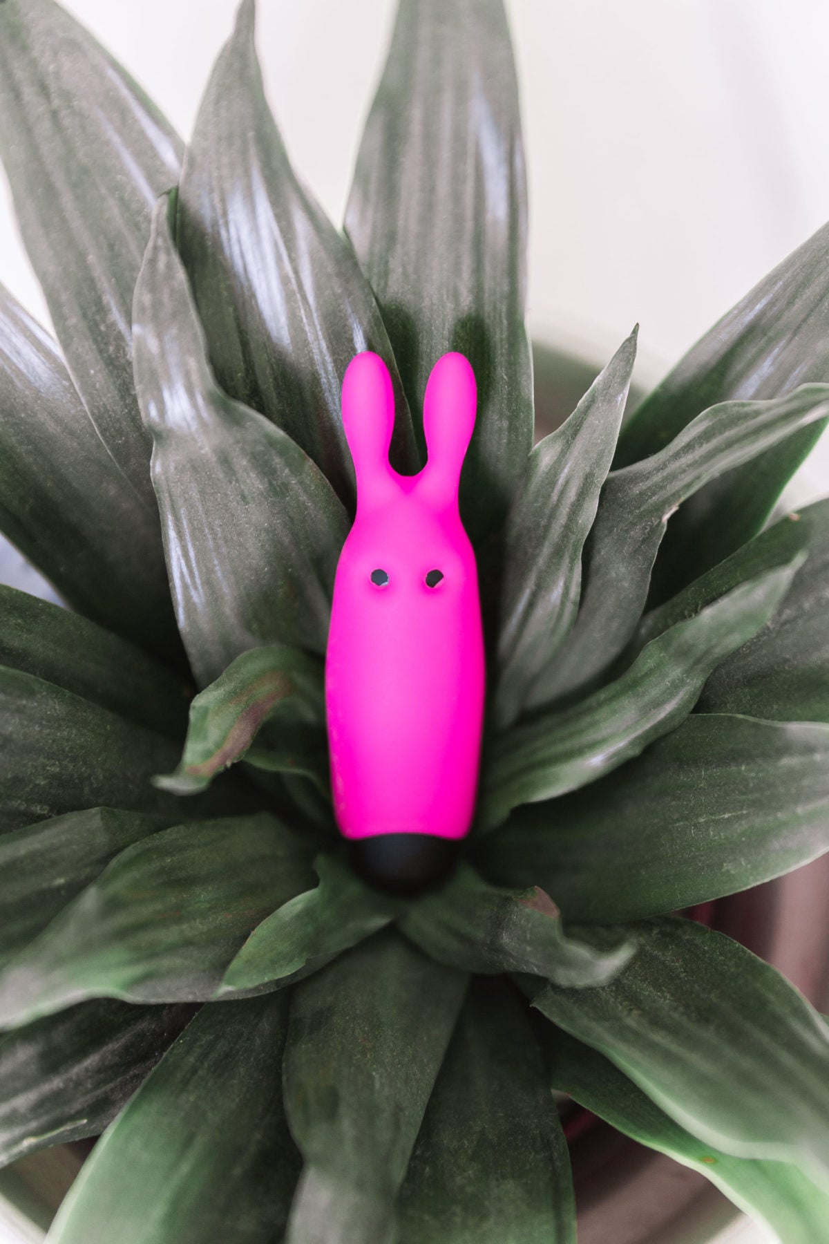 Adrien Lastic Lastic Pocket Vibe rose — photo officielle 4
