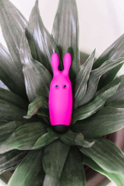 Adrien Lastic Lastic Pocket Vibe rose — photo officielle 4