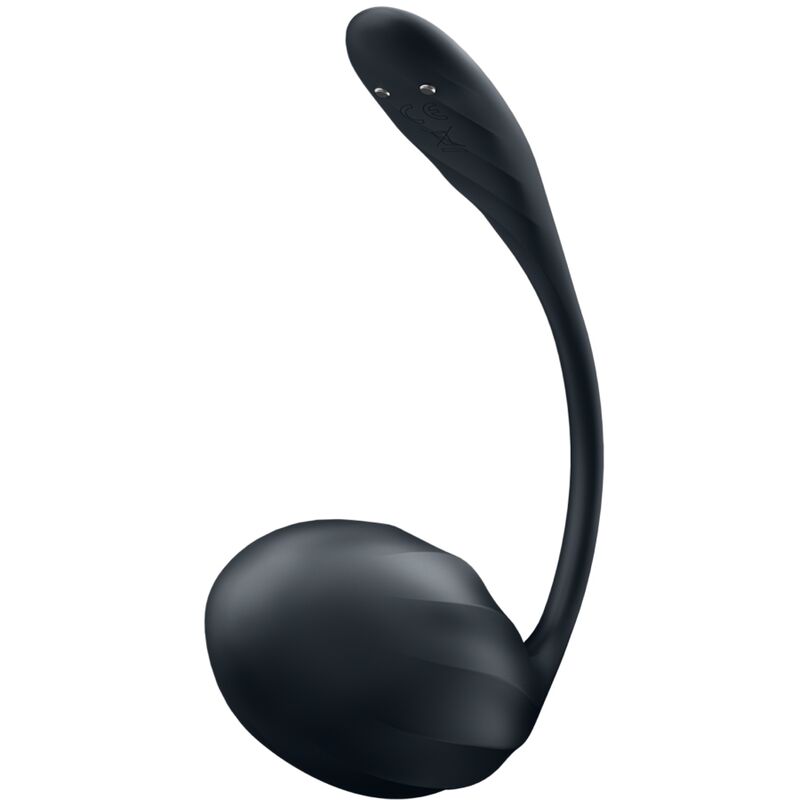 Satisfyer Ribbed Petal – Stimulateur point G connecté – Noir – vue produit 2